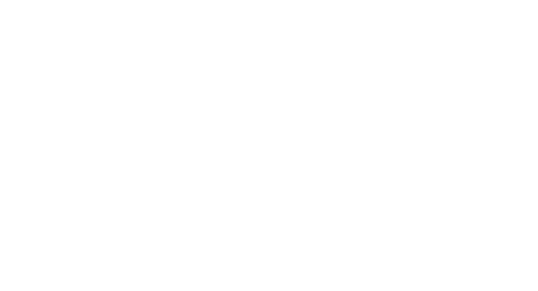 logo Iron Side Global